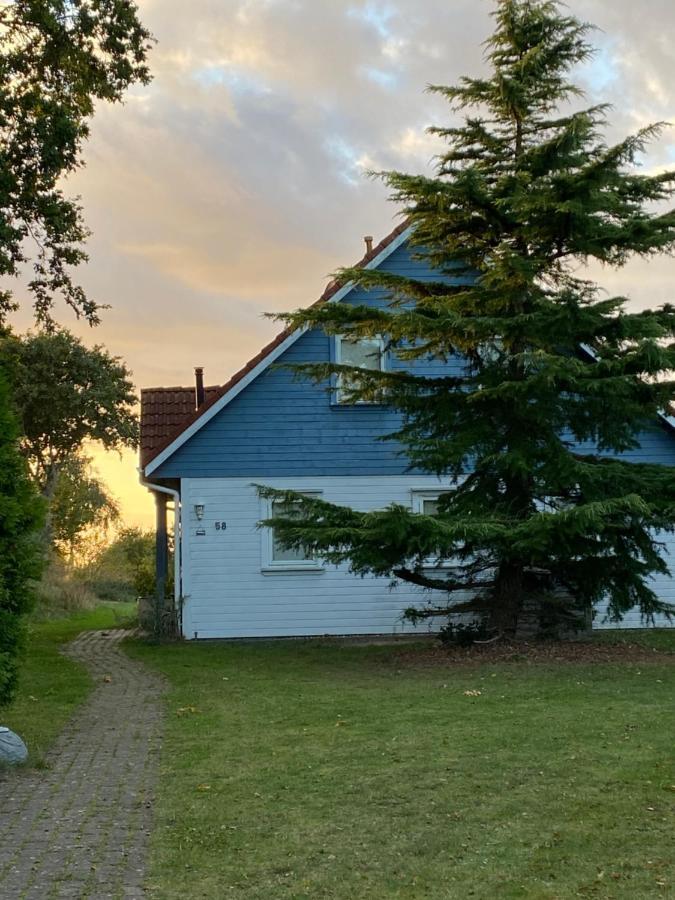 Freistehendes Einfamilienhaus Mit Boddenblick Naehe Ostsee Fuhlendorf  Eksteriør billede