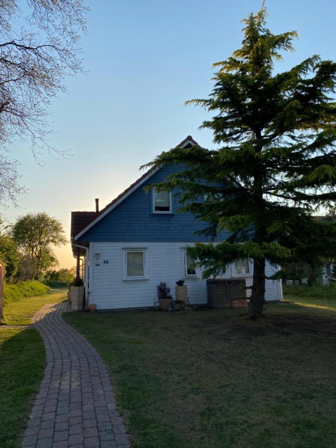 Freistehendes Einfamilienhaus Mit Boddenblick Naehe Ostsee Fuhlendorf  Eksteriør billede